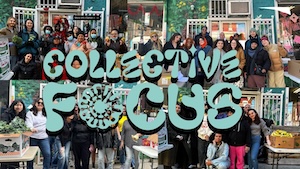 Collective Focus logo